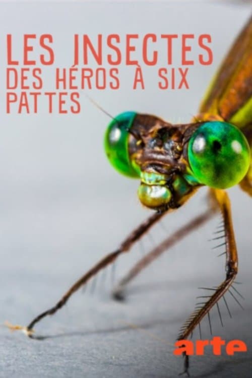 Les Insectes, des héros à six pattes