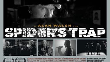 Spiders Trap
