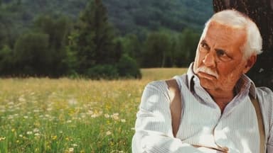 Une hirondelle a fait le printemps