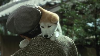 Hachiko : L'histoire vraie d'un chien fidèle