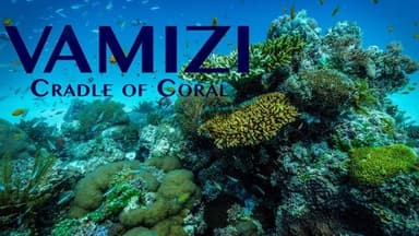 Vamizi Cradle of Coral