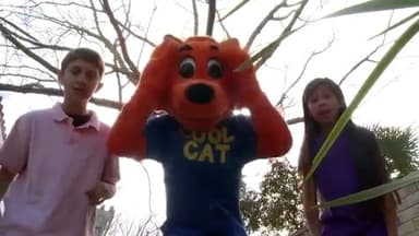 Cool Cat Finds a Gun