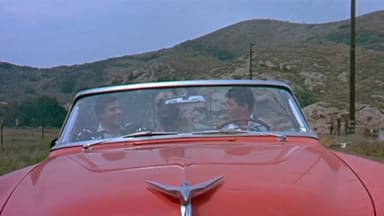 Un vrai cinglé de cinéma