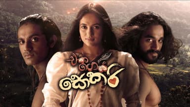 එක ගෙයි සොකරි