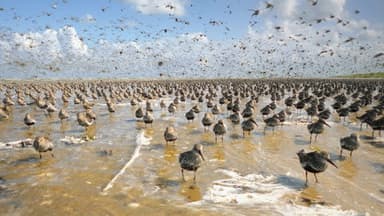 Im Licht der Sandbank