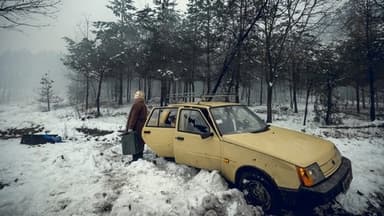 Війна очима тварин