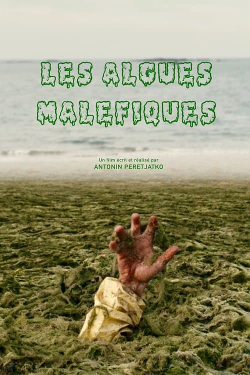 Les algues maléfiques