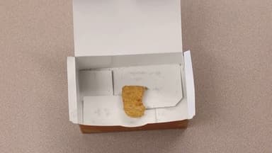 The Last Nugget