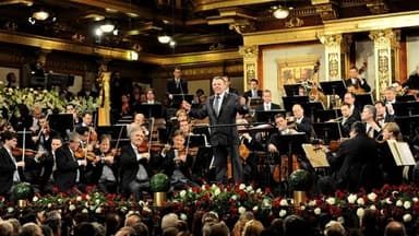 Neujahrskonzert der Wiener Philharmoniker 2012