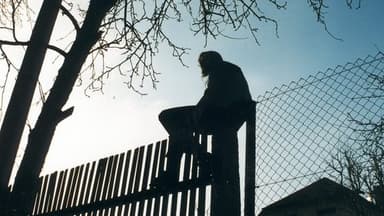 Über die Grenze - Fünf Ansichten von Nachbarn