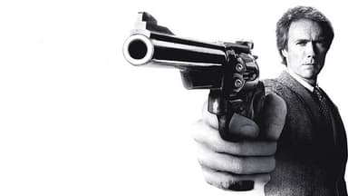 Le Retour de l'inspecteur Harry