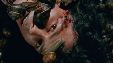 Un escargot dans la tête