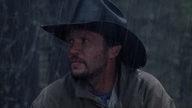 La vie, l'amour… les vaches