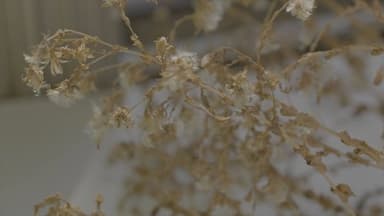 마당이 두 개인 집